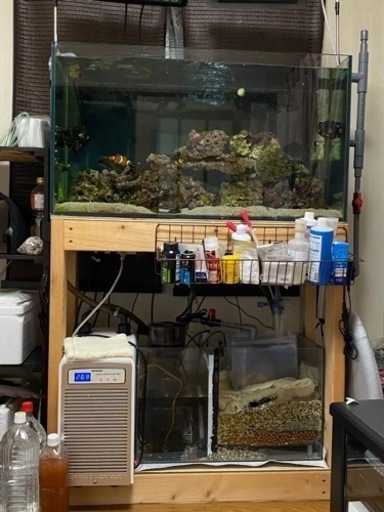 [値下げしました‼️]海水魚 水槽一式 30000円