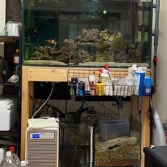 [値下げしました‼️]海水魚 水槽一式 30000円