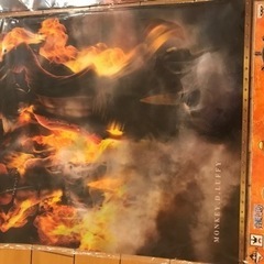 ワンピースの画像