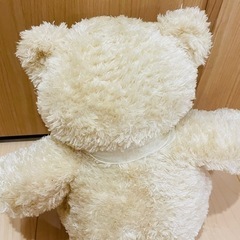 テディベアの画像