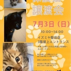 ７月３日(日)保護猫譲渡会