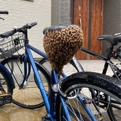 蜂駆除ハンター　ラスト3枠　頑張り次第で日当10万越えも可能
