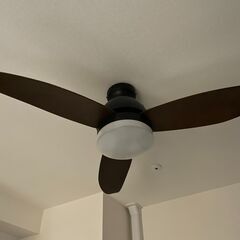 シーリングファンライト リビング・寝室 ライト 照明器具の画像