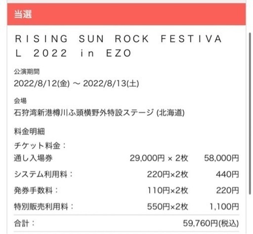 ライジングサン　通しチケット2枚