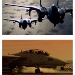 HASEGAWA、Ｆ－１４TOMCATの画像