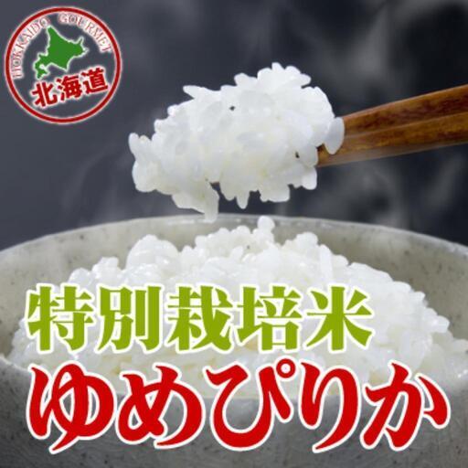 ゆめぴりか　10キロ