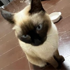 絶対可愛がって面倒を見てくれる方