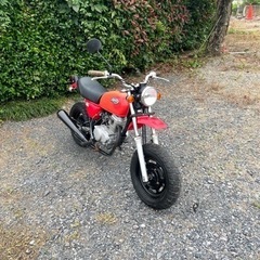 338.  動画あり　ホンダ　エイプ50  APE  原付　バイ...