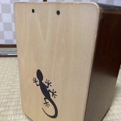 トカゲ柄　ミニカホンの画像