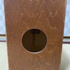 トカゲ柄　ミニカホンの画像
