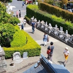 寺フェス2022秋の陣出店募集