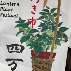 浅草寺ほおずき市(4万6千日詣り)散策