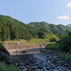 静かにソログル🌲