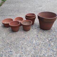 素焼鉢