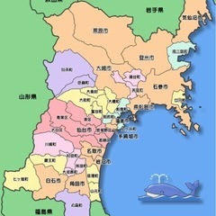 宮城に初めて行きます！