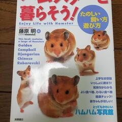 お買い得🎵ハムスターと暮らそう❗飼育参考本🐹