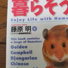 お買い得🎵ハムスターと暮らそう❗飼育参考本🐹の画像