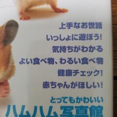 お買い得🎵ハムスターと暮らそう❗飼育参考本🐹の画像