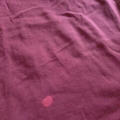 【取引中】UNIQLO半袖　まとめて　⏩6281640の画像