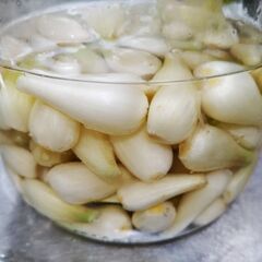 塩らっきょうにも　無農薬　らっきょう