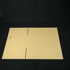 激安アウトレット品！文字入りダンボール130size 25枚セッ...