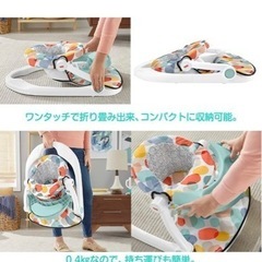 フィッシャープライス(fisher price)デラックス2WAYフロアチェアの画像
