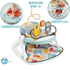 フィッシャープライス(fisher price)デラックス2WAYフロアチェアの画像