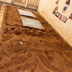 【家庭菜園の土を活性化！】