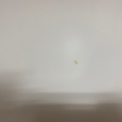 2WEY  こたつ　猫足　 90×60 の画像