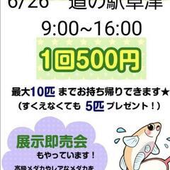 6/26めだかすくい