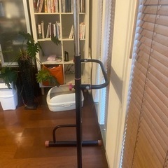 ぶら下がり健康器具（中古）の画像