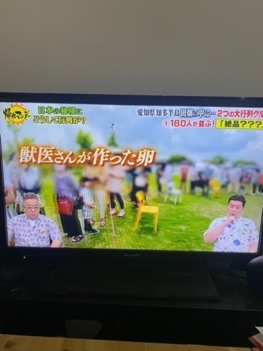 テレビ