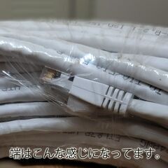 LANケーブル CAT.6 AWM E89980-A SUNF PU STYLE 2835（長さ不明・未使用）の画像