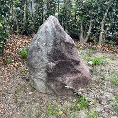 無料で庭石取り放題　春日市まで取りに来られる方限定！の画像