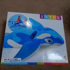🌴INTEX リトルシャチ ライドオン🌴 ★未開封★