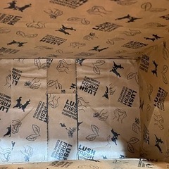 LUSH ショップ袋 2枚  1枚は角ギスありの画像