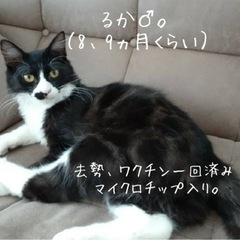 かなり人が好きな子です！