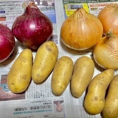 【決定しました】野菜　新玉ねぎ・赤玉ねぎ・じゃがいも