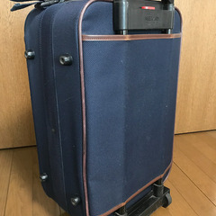 ACEのキャリーバック　お譲りしますの画像