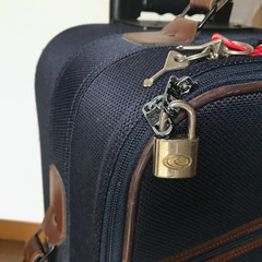 ACEのキャリーバック　お譲りしますの画像