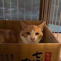 推定5歳の女の子○保護しました！