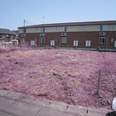 住宅地として、お手頃な面積と価格です。緊急値下げです。旧価格450万円