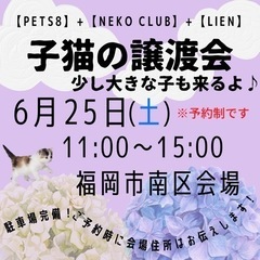 子猫ふれあい譲渡会♫in福岡市南区