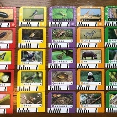 しまじろう！いきものかんさつゴーの画像