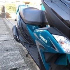 シグナスRAY ZR125の画像