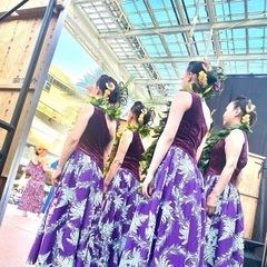 岐阜🌈フラダンス　体験レッスン会します🎶の画像
