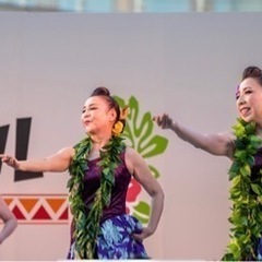 岐阜🌈フラダンス　体験レッスン会します🎶の画像
