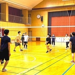 社会人バレーボールサークルかんちゃん - スポーツ