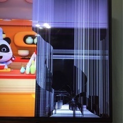 49inch 液晶テレビの画像