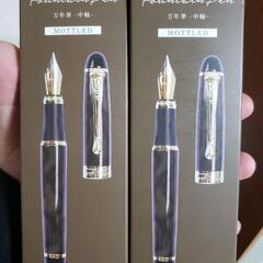 万年筆　2本セット